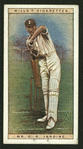 Mr. D. R. Jardine (Surrey).
