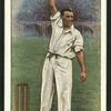 M. W. Tate (Sussex).