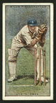 L. E. G. Ames. (Kent.).