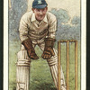 W. Cornford. (Sussex.).