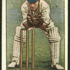 W. H. Livsey. (Hampshire.).