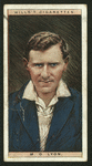 M. D. Lyon. (Somerset.).