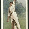 J. Newman. (Hampshire.).