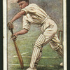 T. F. Shepherd. (Surrey.).