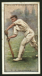 T. F. Shepherd. (Surrey.).