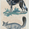 1. Le Hyénopode. 2. Le Mégalotis.