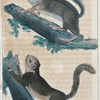1. Le Guerlinguet Lary. 2. Le Guerlinguet Plantani.