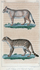 Index