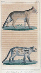 1. Le Colocolo. 2. Le Chat botté.