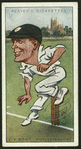 C.F. Root.