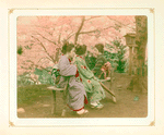 Conversation under the Cherry Tree