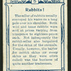 Rabbits!
