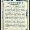 Strawberries, scarlet strawberries.