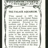 The palace aquarium.