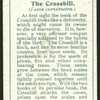 Crossbill.