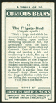 Frigate-bird.