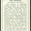 Homrai.