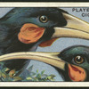 Huia.
