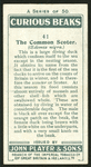 Common sooter.