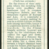 Sheldrake.