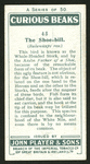 Shoe-bill.