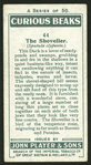 Shoveller.