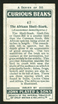 African shell-stork.