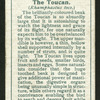 Toucan.
