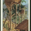House in tree tops, New Guinea.