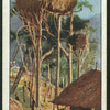 House in tree tops, New Guinea.