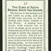 Native houses, South Sea Islands.