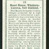 Maori house, New Zealand.