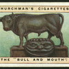 The bull and mouth.