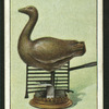 The goose & gridiron.