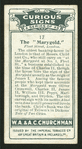 The marygold.