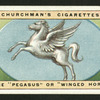 The pegasus or winged horse.