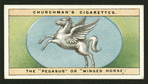 The pegasus or winged horse.