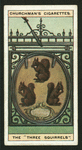 The three squirrels.