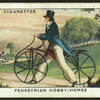 Pedestrian hobby-horse.