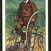 Salvo tricycle.