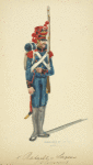 Holland (Domin. Française). 1 Bataillon de Sapeurs (6 [?] Compagnie). (1812)