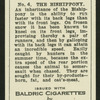 The bishippony.