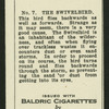 The swivelbird.