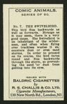 The swivelbird.