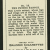 The flying fantox.