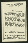The flying fantox.