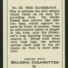 The globerouf.