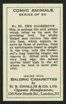 The globerouf.