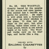 The woofpad.