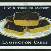 Lamington cakes.